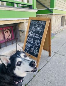 Pets on Brady | Brady ST BID