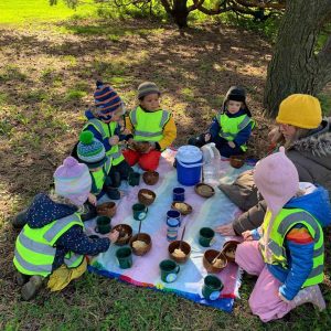 Tamarack Waldorf School | Brady ST BID